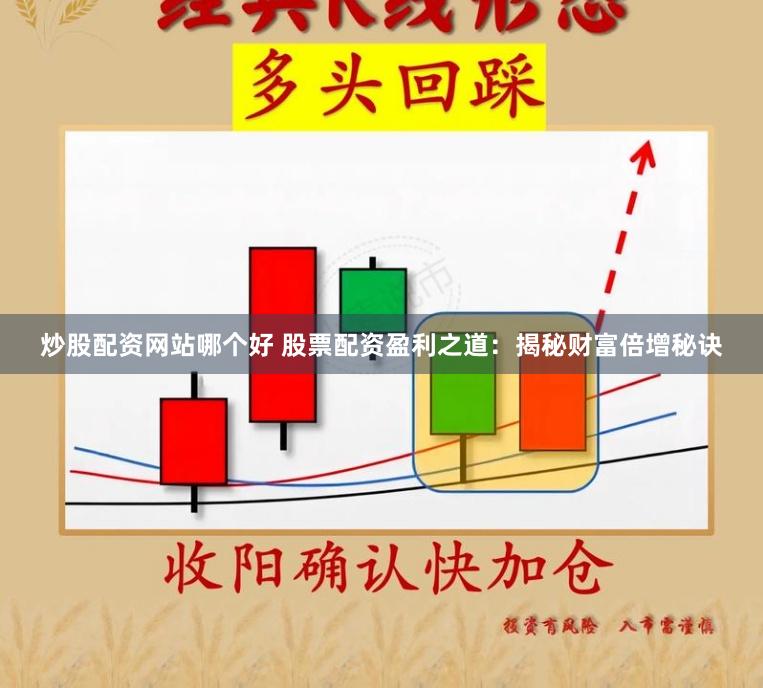 炒股配资网站哪个好 股票配资盈利之道：揭秘财富倍增秘诀