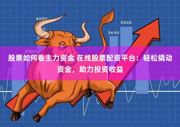 股票如何看主力资金 在线股票配资平台：轻松撬动资金，助力投资收益