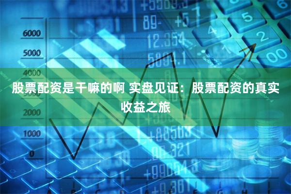 股票配资是干嘛的啊 实盘见证：股票配资的真实收益之旅