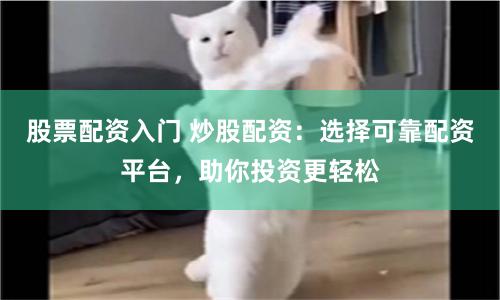 股票配资入门 炒股配资：选择可靠配资平台，助你投资更轻松