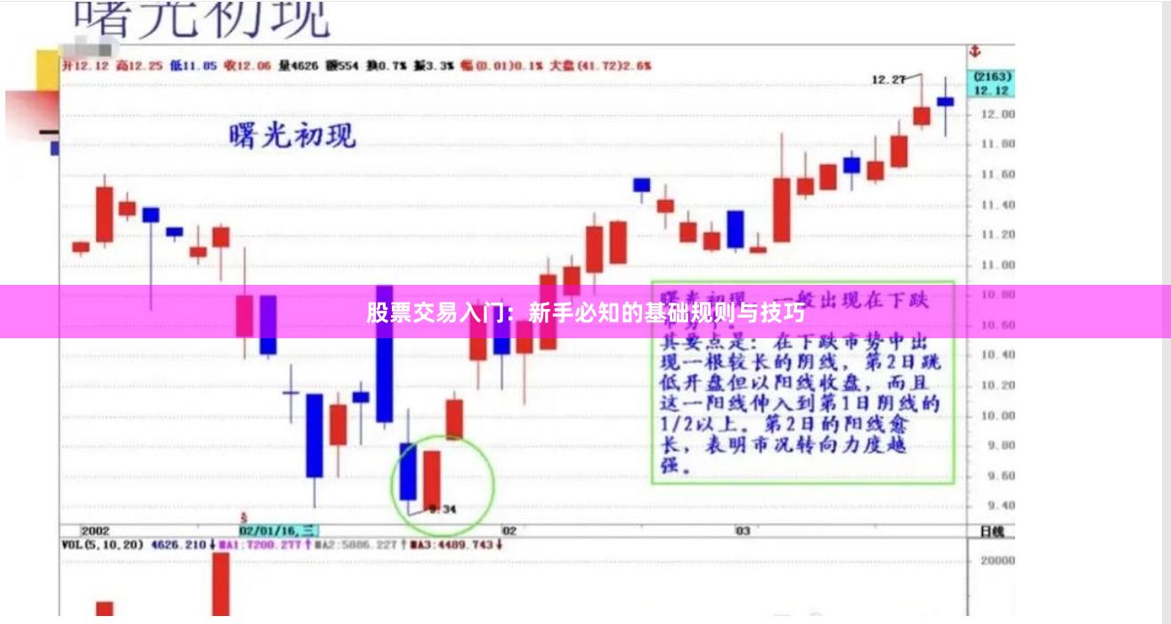 股票交易入门：新手必知的基础规则与技巧