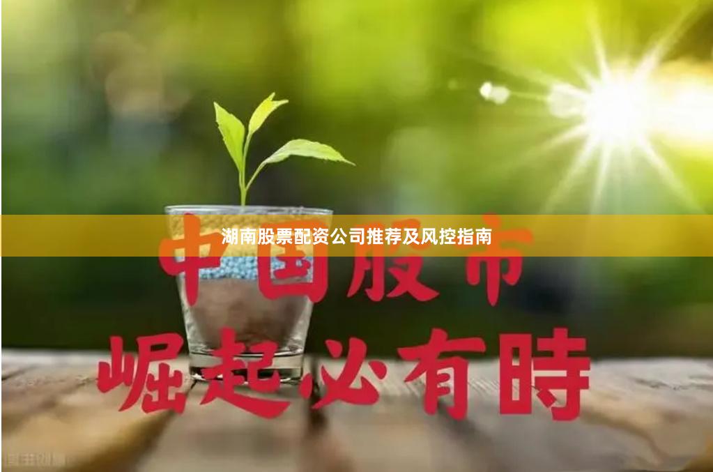 湖南股票配资公司推荐及风控指南