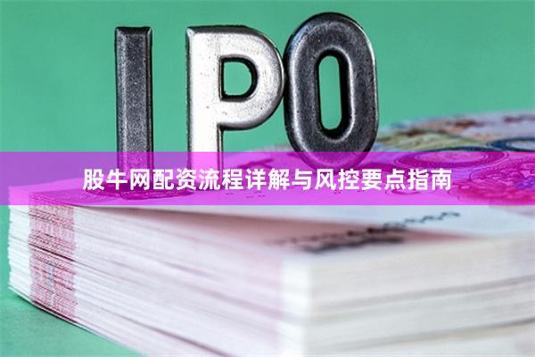 股牛网配资流程详解与风控要点指南